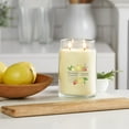 thumbnail image 4 of Yankee Candle Iced Berry Lemonade Scented, Signature 20oz Large Jar 2-Wick Candle, Over 60 Hours of Burn Time, 4 of 5