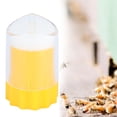 thumbnail image 3 of Queen Bee Marking Cage, Beekeeping Tool 2Pcs Non-Toxic Light Weight Practical  for Beekeepers for Apiculture, 3 of 7