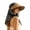 Black, variant on Sun Hat for Outdoor - Wide Brim Beach Cap with Neck Coverage Hollow Top Scarf Style All-Season Wear Convenient Sun, Black