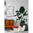 thumbnail image 4 of Rounded Sandstone Planter with Minimalist Design, 4 of 6