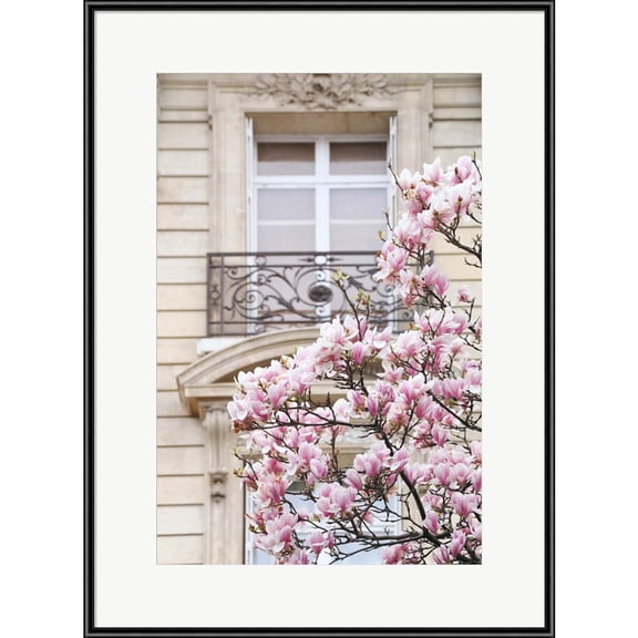 Great Art Now Spring Magnolias in Paris by Carina Okula, Framed Wall Art, 17W x 23H