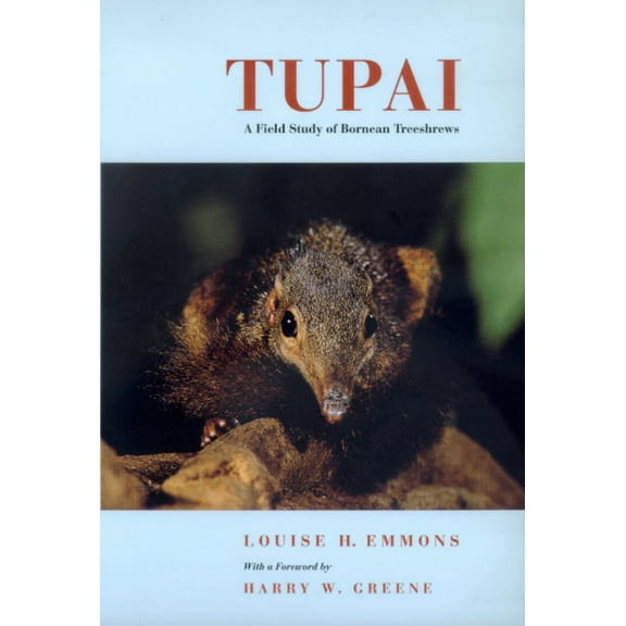 Organisms and Environments: Tupai : A Field Study of Bornean Treeshrews (Series #2) (Edition 1) (Paperback)