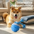thumbnail image 2 of Interactive Dog Toys, Motion Activated Rolling Squeaky Balls for Small/Medium/Large Dogs, Automatic Moving Dog Toy Wicked Ball for Boredom & Daily Training, USB Rechargeable, 2 of 7