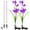Purple, variant on Luxtrada Outdoor Solar Stake Lights - 2 Pack Solar Powered Lights with 8 Lily Flower, Multi-color Changing LED Solar Stake Lights for Garden, Patio, Backyard