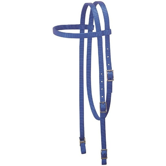 Weaver Leather Nylon Headstall, Browband (Blue, One Size)