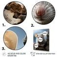 thumbnail image 3 of Designart "Rodent Portrait White Cute wall art II" Animals Floater Framed Canvas Print, 3 of 7