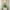 Natural, variant on Ellis Curtain Trellis 2-Panels Unlined Stylish Window Curtain Tailored Pair with Ties - 82x63 Teal