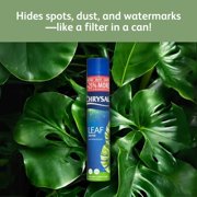 Chrysal Leafshine Aerosol Spray 25 Ounces Bundled (12 Pack)