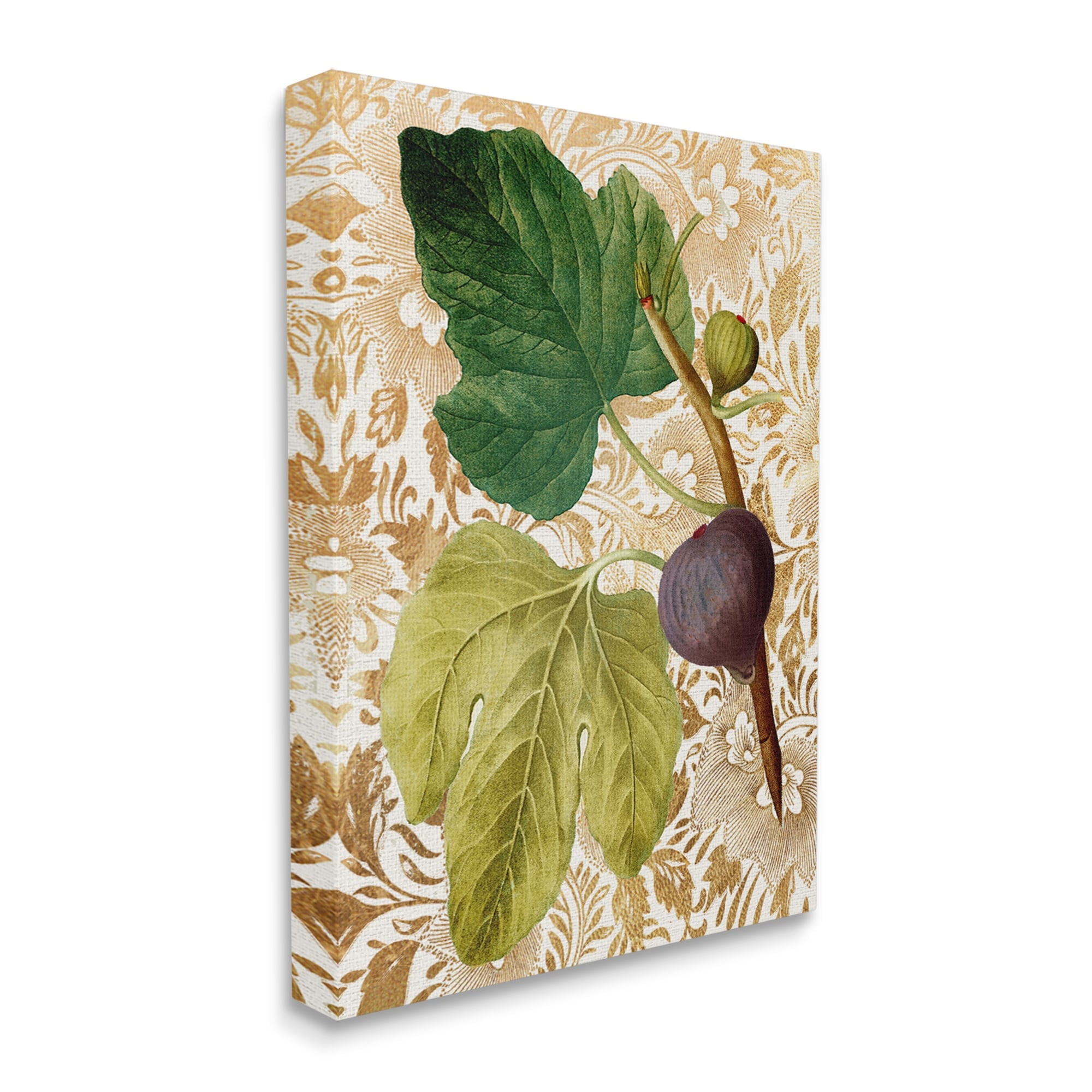 Stupell Industries Ornate Produce Fig Plant Pattern Botanical & Floral Painting Gallery Wrapped Canvas Print Wall Art