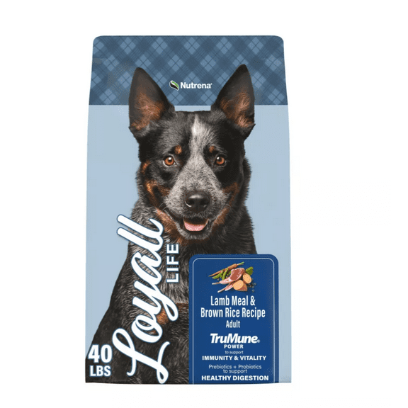 Nutrena Loyall Life Adult Lamb and Brown Rice Recipe Dry Dog Food, 40 lb. Bag