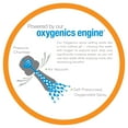 thumbnail image 6 of Oxygenics BodySpa RV Handheld Shower Head 2-Setting Red, White and Blue, 6 of 12