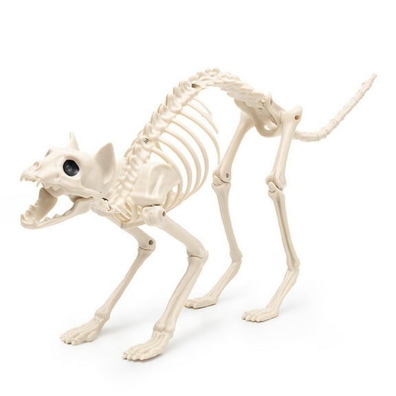 Halloween Animal Skeleton Decorations,Realistic Full Body Cat Skeleton Props,Posable Movable Joints Cat Bones Statue and Figurine for Lawn Yard Graveyard Skeleton Halloween Decor