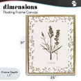 thumbnail image 4 of Stupell Industries Traditional Neutral Imperial Herb Study Gold Floating Frame Canvas Art, 25 x 31, by Kelly Donovan, 4 of 8