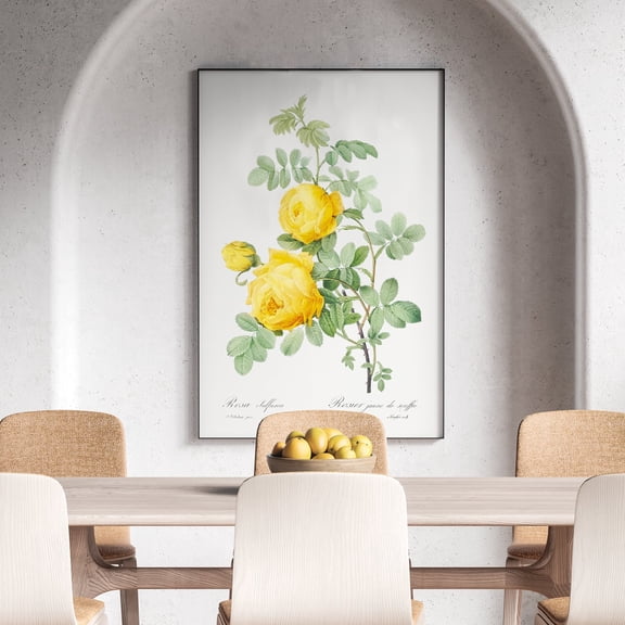Yellow Rose of Sulfur - 1817–1824 | Pierre-Joseph Redouté | Premium Fine Art Print | 18th Century Belgian | Flower Painting, Botanical illustration | Botanical | Plant Art | Nature Art