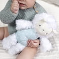 thumbnail image 3 of Ingenuity Premium Soft Plush Stuffed Animal Toy - Sheppy the Sheep, Ages Newborn +, 3 of 6