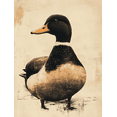 thumbnail image 1 of Qisvanset 12x16 Inch 2D Flat Framed Canvas Art, Vintage Duck Sketch Farm Rustic Nursery Home Wall Art Decor, 1 of 5