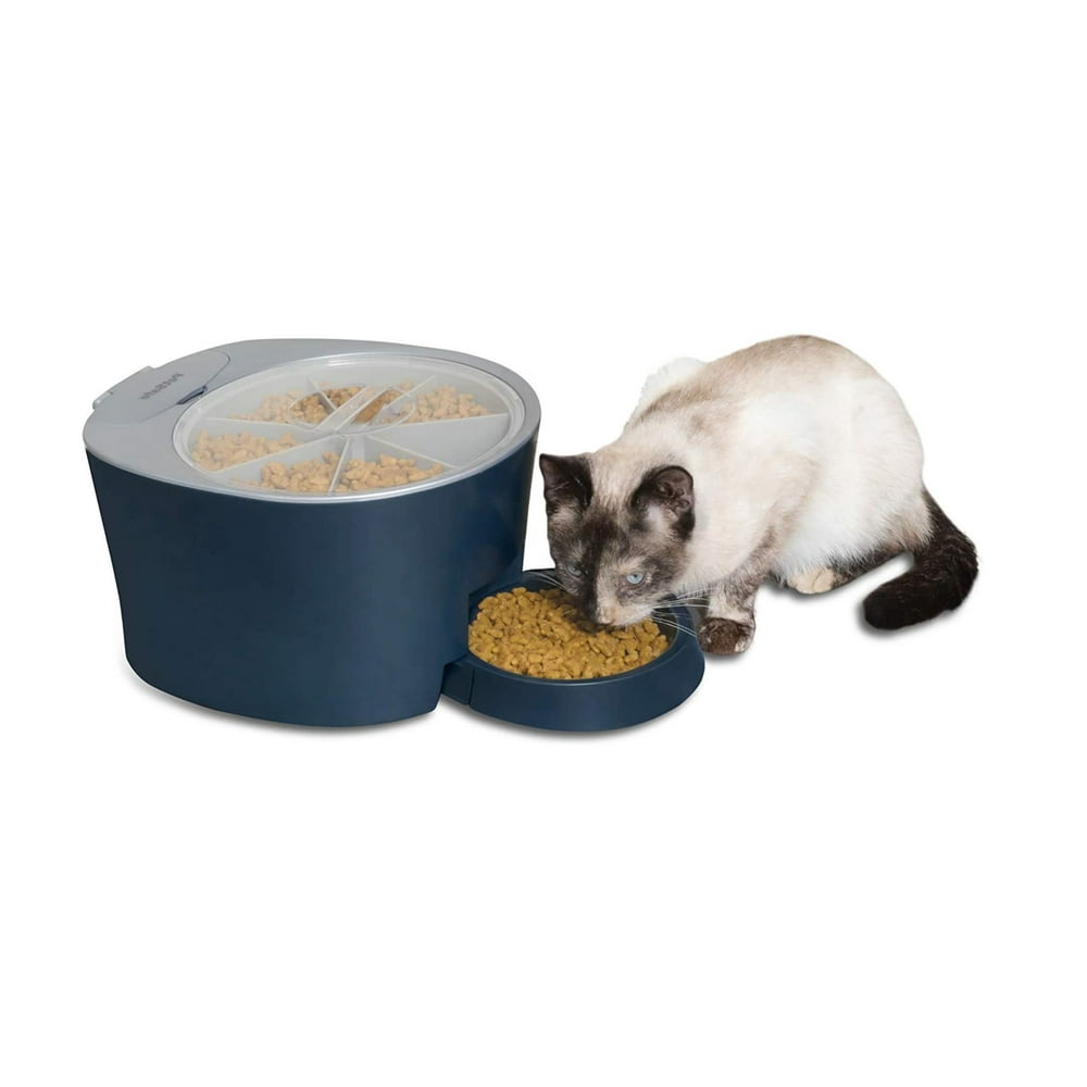 PetSafe Automatic 6 Meal Pet Feeder Cat and Dog Food Dispenser