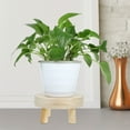 thumbnail image 4 of MEIBUTYUP Wooden Plant Riser in Beige with Smooth Edges, Ideal for Home Decor and Storage Display, 4 of 6