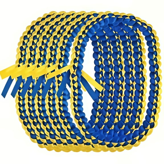 Natonhi 10pcs Graduation Leis 2025, Graduation Necklace for Class of 2025 Braided Ribbon Lei for Graduation Accessories, Grads Parties Decorations