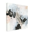 thumbnail image 2 of June Erica Vess 'Veiled Formation III' Canvas Art, 2 of 3