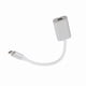 thumbnail image 4 of Adaptador USB C A Mini DisplayPort 4K HD 10Gbps Con USB C, Conexión A Pantalla/TV/, 4 of 7