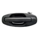 thumbnail image 1 of Manija Puerta Exterior Santa Fe 2001 al 2006 Hyundai Trasera Izquierda/Piloto Hushan Negro, 1 of 4