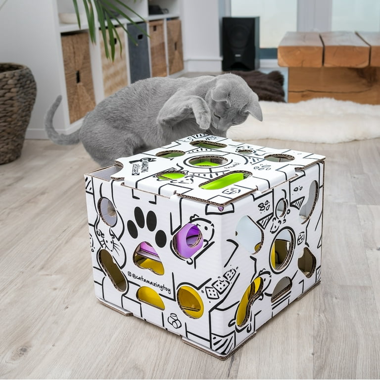 PETKARAY Cat Puzzle Toy, Interactive Cat Toys for Indoor Cats, Kittern Ball  Toy with Soft Felt Maze Game Puzzle Box