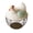 D, variant on Egg Storage Products Colorful Protecting Eggs A Small Highlight In The Kitchen An Ideal Choice For The Family Kitchen.