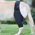 thumbnail image 6 of Pet Leg Support Brace Wrap Support Aid in Healing Comfortable Leggings Against Licking Dog Elbow Brace, 6 of 8