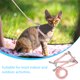 thumbnail image 5 of 1 juego de correa y arnés para gatos, arnés para gatitos, juego de correa, cuerda para pasear perros y gatos pequeños para exteriores., 5 of 7