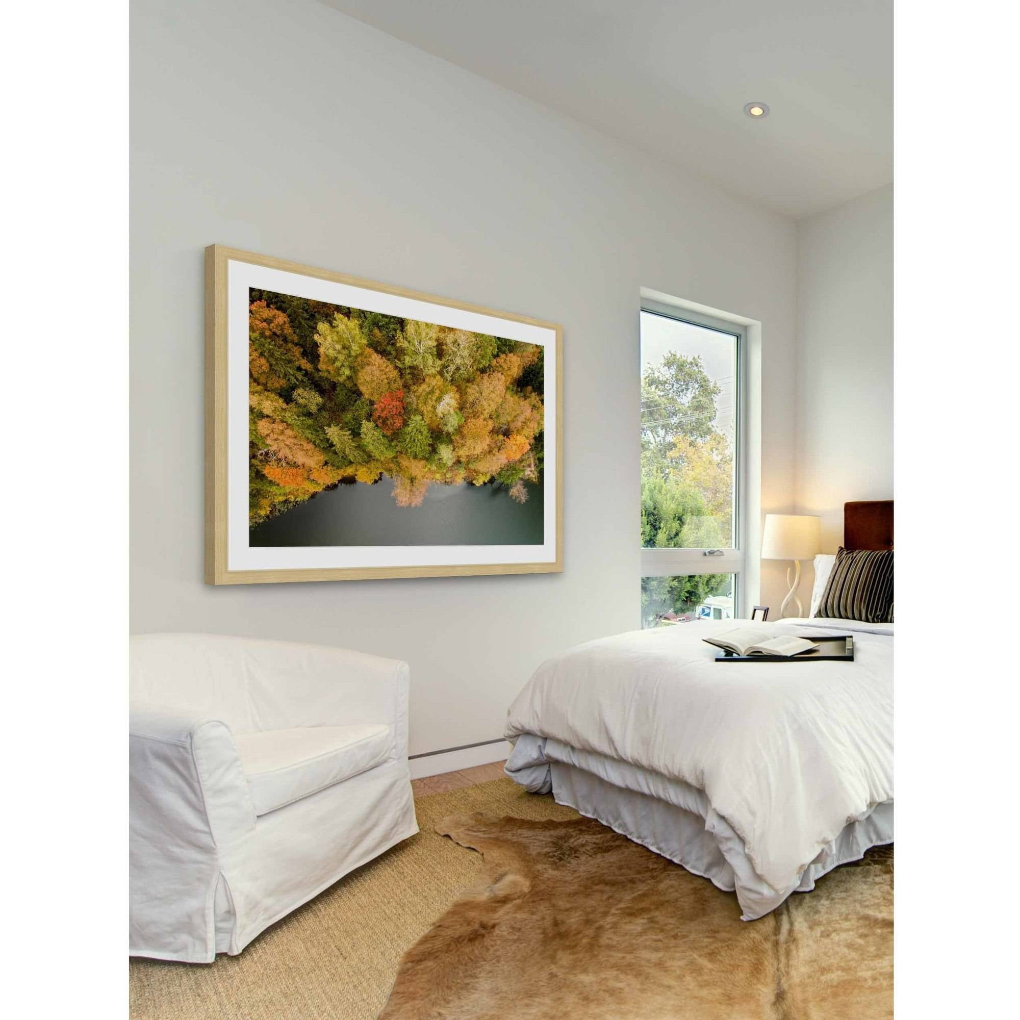 Marmont Hill "Natures Flora" By Karolis Janulis Framed Painting Art Print, 18.0" x 1.5"