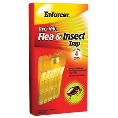 Overnite Flea Trap Traps Fleas While You Sleep