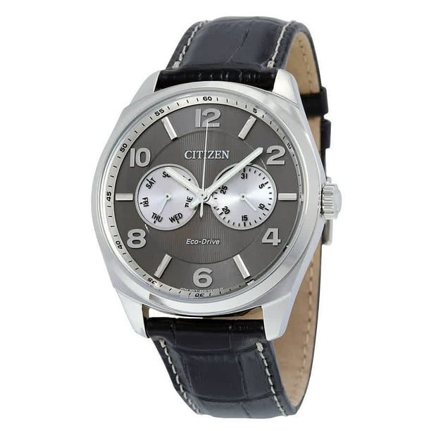 CITIZEN Citizen Men's Dress EcoDrive Gray Dial Men's Watch AO9020