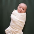 thumbnail image 4 of HALO® SleepSack® Swaddle - Cotton - Cream, Small,1 pack, 4 of 7