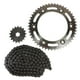 thumbnail image 1 of ENGRANE 49X17 CADENA 428X130L SET HONDA XR 150L (16-19) RODA, 1 of 2
