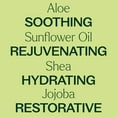 thumbnail image 4 of Plant Therapy Unscented Body Lotion with Aloe and Shea, Hydrate and Nourish Skin with Botanical Ingredients, 8 oz, 4 of 9