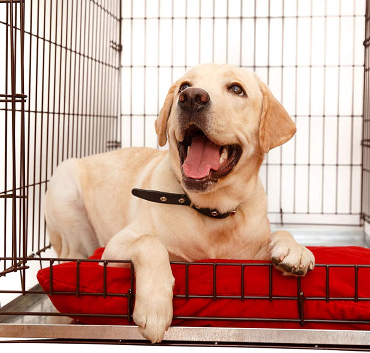 Large Dog Crate Tray 23.5" x 17.5" Inches Heavy Duty Metal Kennel Trays