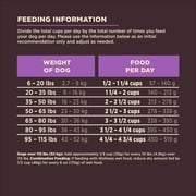 Wellness CORE Digestive Health Age Advantage Senior Dry Dog Food, Wholesome Grain Kibble, Sensitive Stomach, Natural, High Protein, Chicken and Brown Rice Recipe, 24 lb Bag