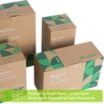 thumbnail image 3 of Vasos de papel MayTree compostables y biodegradables, paquete de 300 ml, 3 of 9