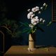 thumbnail image 4 of Juegos de bloques de construcción de girasol rosa, juegos creativos de juguetes de decoración para el hogar para mamá, sus novias, mujeres, adultos, esposa, niños, 4 of 4