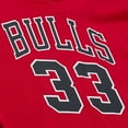thumbnail image 3 of Men's Mitchell & Ness Scottie Pippen Red Chicago Bulls Mesh Name & Number Short Sleeve Hoodie, 3 of 5