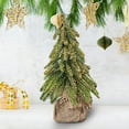 thumbnail image 6 of Vikakiooze Snowflake Flocking Christmas Table Tree Decoration, Super Thick Tree Flocking Small Christmas Tree Table Placing Decoration Christmas Indoor Home Decoration, 6 of 6