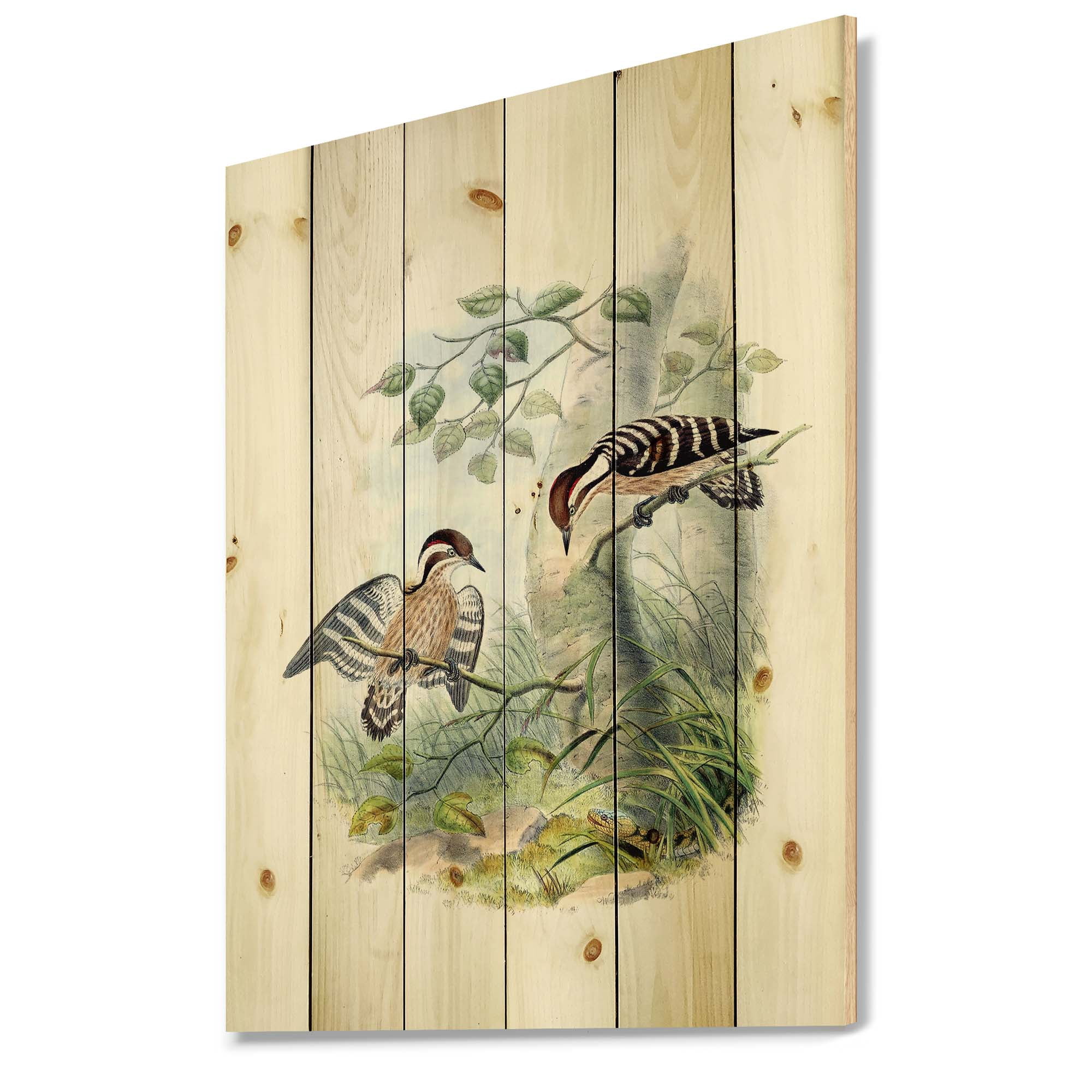 Designart 'Ancient Birds In The Wild I' Traditional Print on Natural Pine Wood