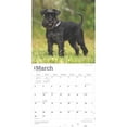 thumbnail image 3 of Miniature Schnauzers | 2025 12x24" (Hanging) Square Wall Calendar | BrownTrout, 3 of 9