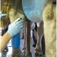 thumbnail image 4 of UDDER COMFORT INTERNATIONAL INC UDDER COMFORT UDDER SPRAY BLUE 500 ML 13109-1, 4 of 6