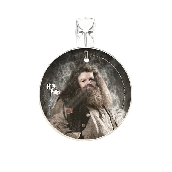 Harry Potter (Hagrid) StarFire Prints™ Glass Art SPCIR529