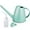 Green, variant on Qilebi Watering Can for Indoor Plants, Small Watering Cans for House Plant Garden Flower, Long Spout Water Can for Outdoor Watering Plants 1.8L 60oz 1/2 Gallon (Green)