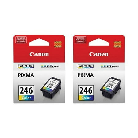 Canon CL246 Color Ink Cartridge (2-Pack) Ink Cartridge Canon CL-246 Color Ink Cartridge (2-Pack) Brand New The Canon CL-246 Color Ink Cartridge features smudge-resistant ink. The cartridge yields 180 pages based on ISO standards and features Canon s FINE (Full Photolithographic Inkjet Nozzle Engineering) technology. CL-246 Color Ink Cartridge Features: Print Technology: Inkjet Print Color: Cyan/Magenta/Yellow Typical Print Yield: Up to 180 Pages