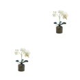 thumbnail image 4 of Naiovety Bonsái de flor de orquídea artificial, maceta de Phalaenopsis en maceta, decoración de jardín para el hogar, planta falsa de Color Blanco 2Conjunto, 4 of 6