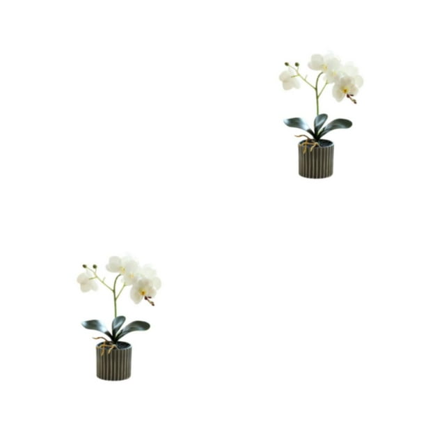 Yuarrent Flor de orquídea artificial Bonsai Potted Phalaenopsis Home Office Plant Type3 NO3